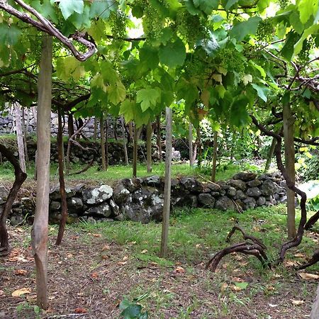 Holidays Madeira Sao Vicente  Exterior photo
